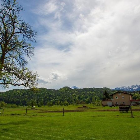 Gaestehaus Dobernig Sankt Niklas an der Drau Εξωτερικό φωτογραφία